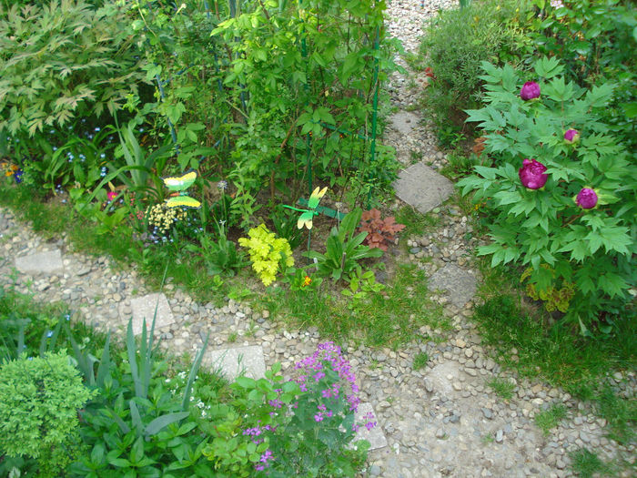 DSC06721 - Gradina in 2014