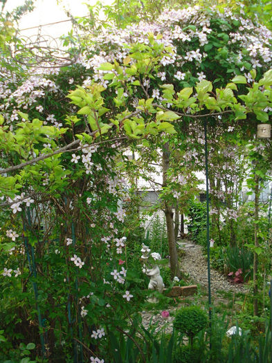 DSC06742 - Gradina in 2014