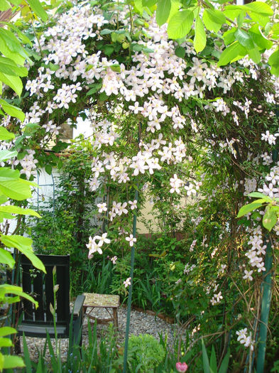 DSC06752 - Gradina in 2014