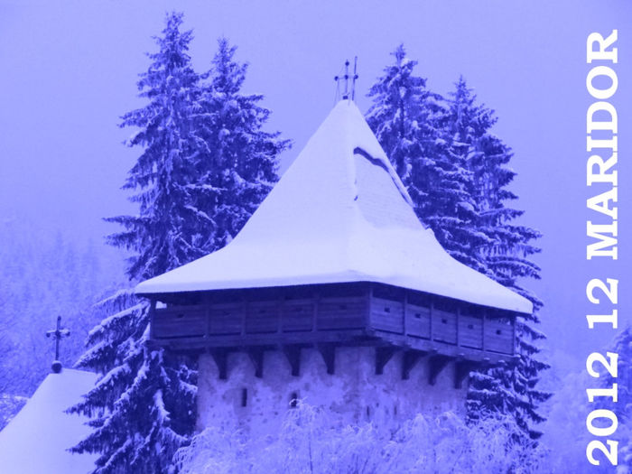 2012-12 Craciun Bucovina  (101)