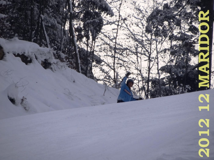 2012-12 Craciun Bucovina  (165)