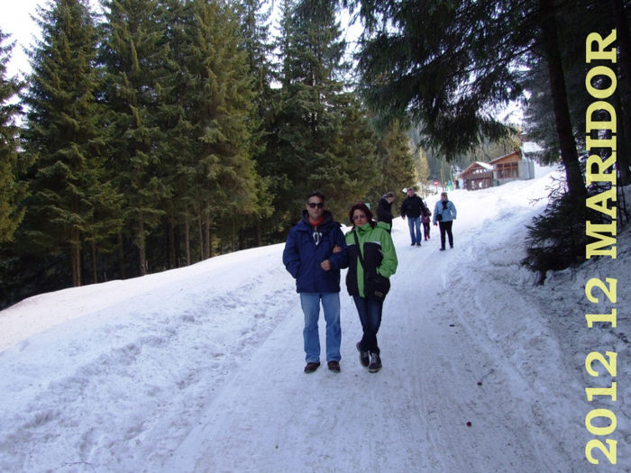 2012-12 Craciun Bucovina  (1077) - 2012 12 Pietrele Doamnei