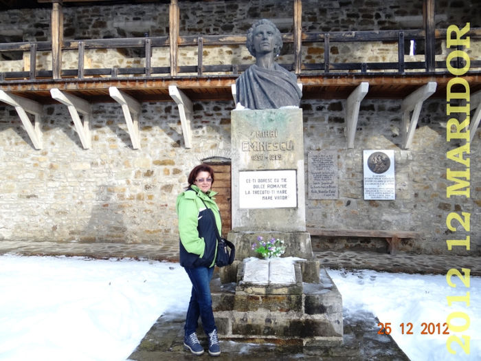 2012-12 Craciun Bucovina  (684)