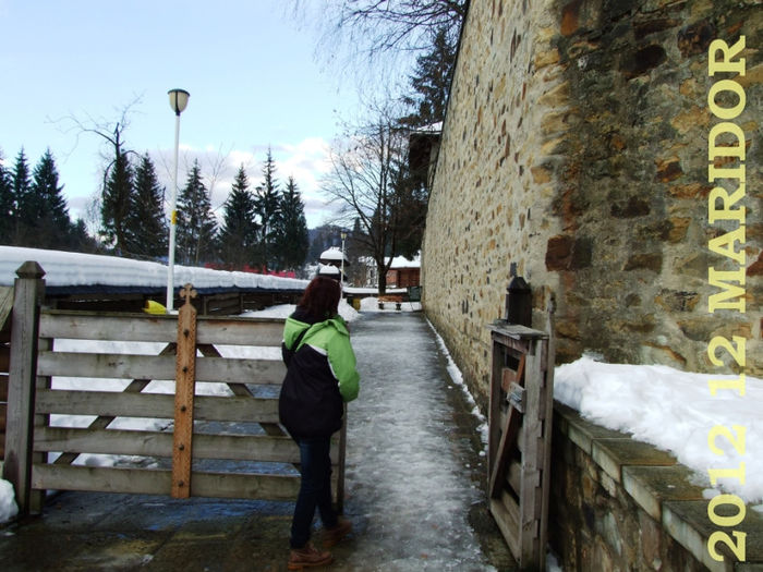 2012-12 Craciun Bucovina  (971) - 2012 12 Voronet