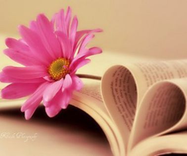 lntr-o seara in sertarul noptierei sale gasi un.......jurnal. - Z_The Magical Diary