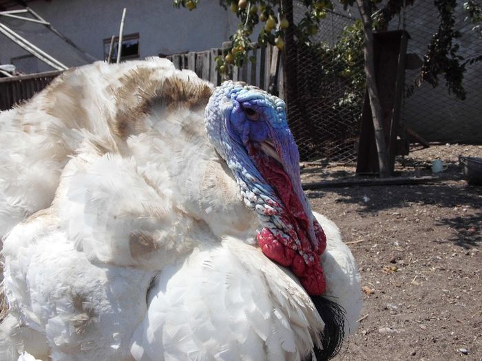 IMG_1350; El este BITA
