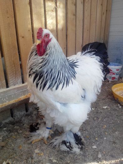 IMG_20140322_161244160