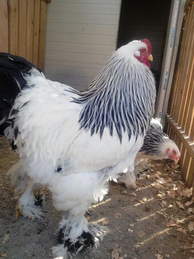 IMG_20140322_161306593