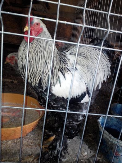 IMG_20140322_170536688