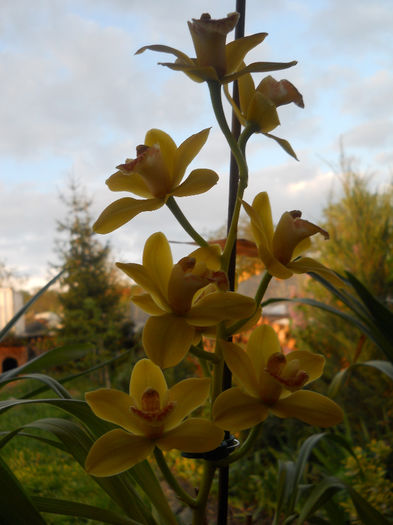 DSCN1288_031
