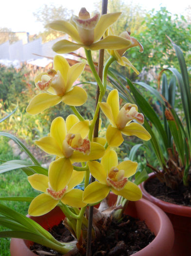 DSCN1289_032