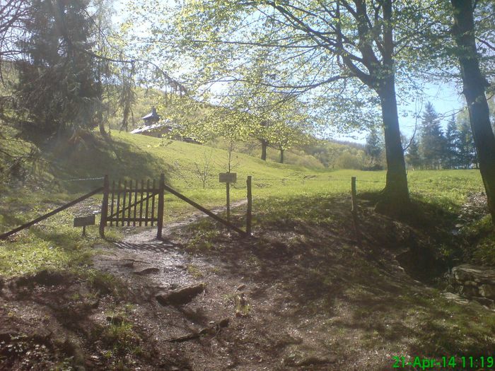 DSC01272 - Manastirea Prislop