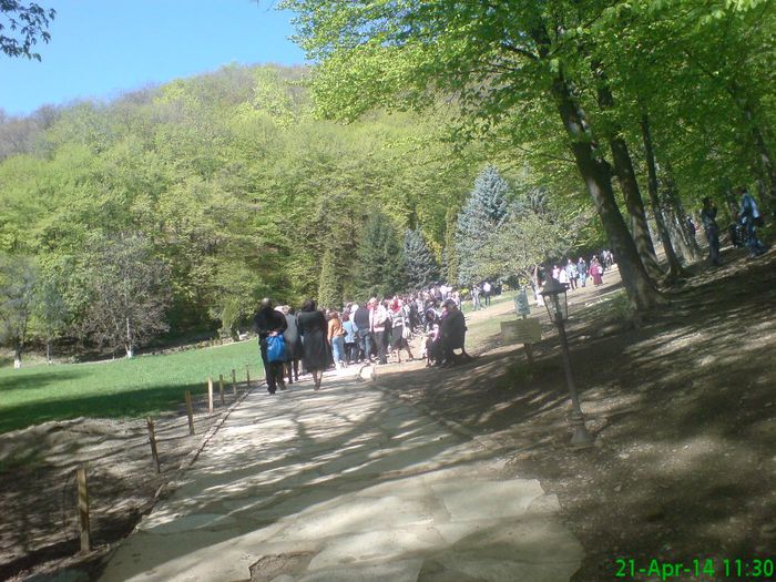 DSC01281