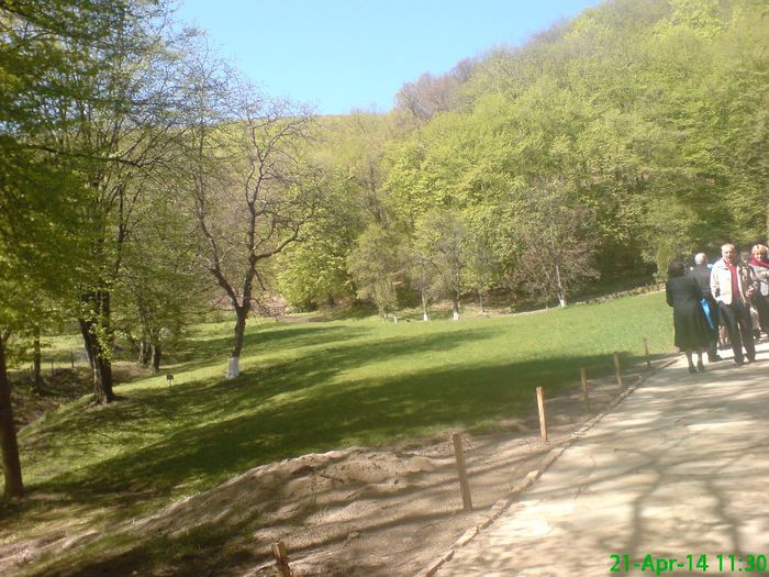 DSC01282 - Manastirea Prislop