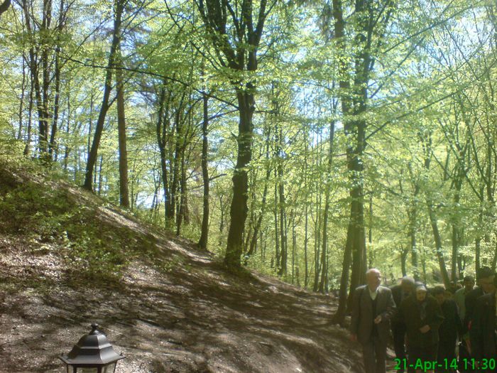 DSC01283 - Manastirea Prislop