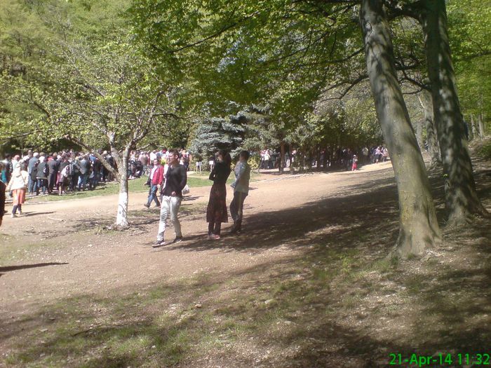 DSC01286