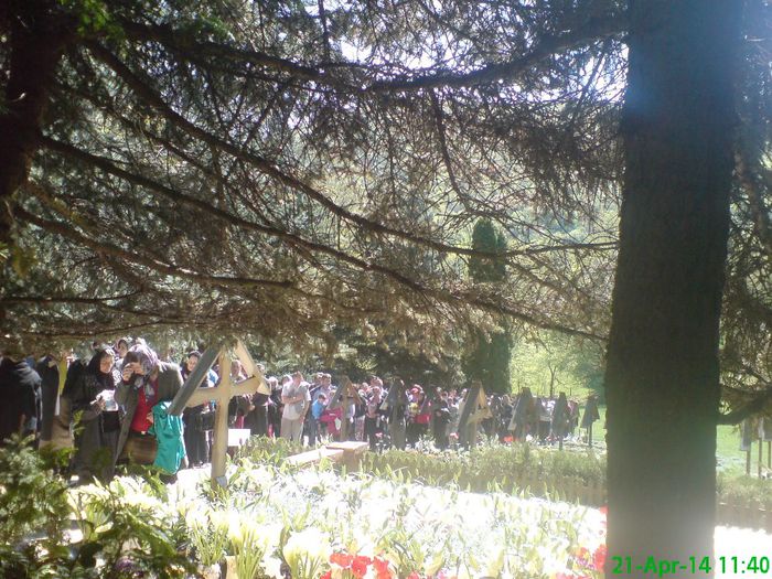 DSC01291
