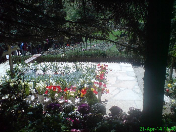 DSC01292 - Manastirea Prislop
