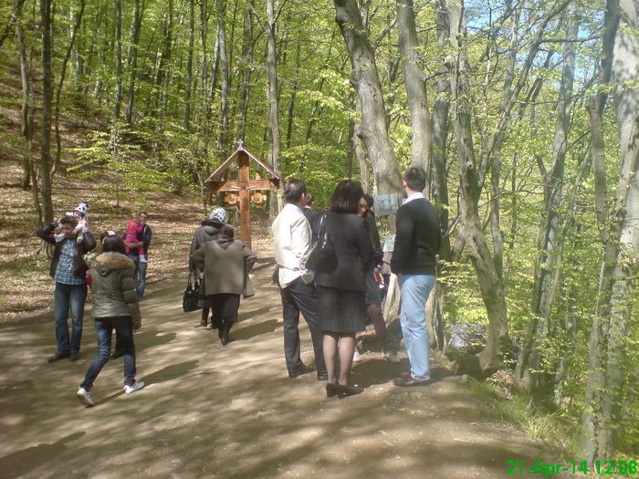 DSC01296 - Manastirea Prislop