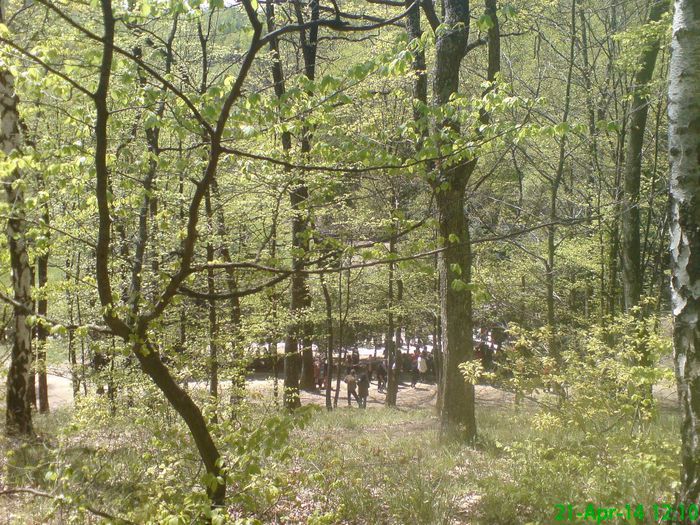 DSC01298 - Manastirea Prislop