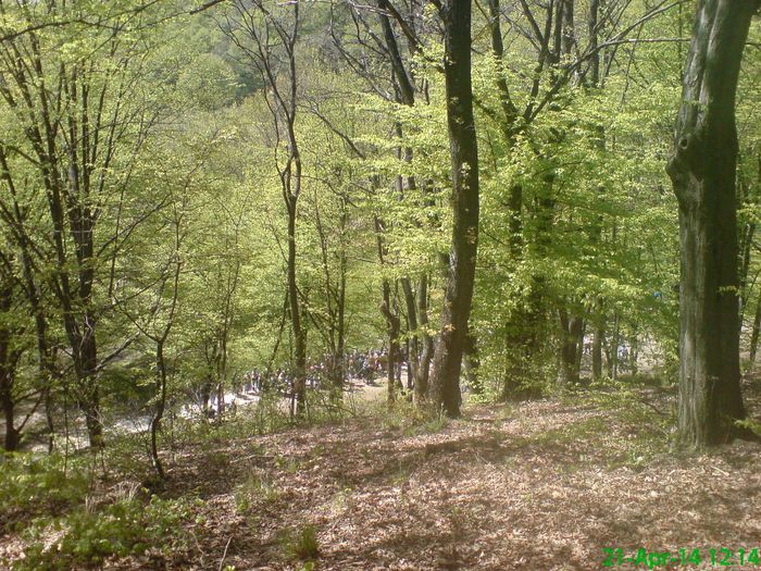 DSC01301 - Manastirea Prislop