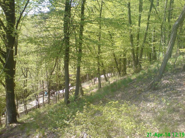 DSC01315 - Manastirea Prislop