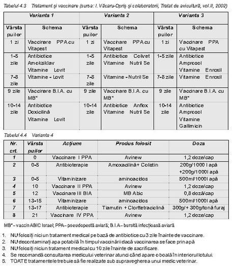 Tratament si vaccinare - Plan vaccinare pui de gaina
