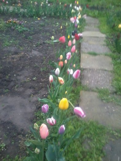 20140417_191323