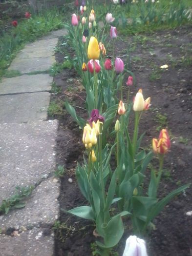 20140417_191405