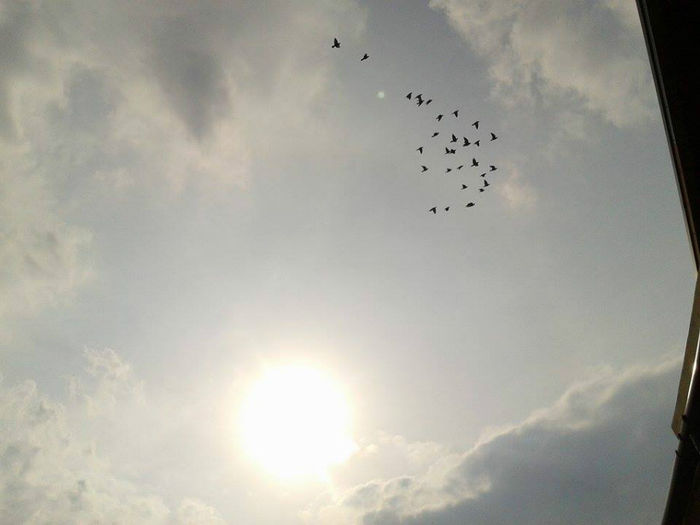 10153271_645000595579933_7675784236324419882_n[1]