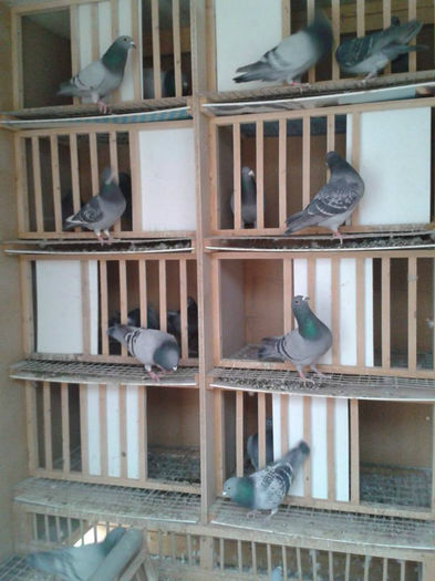 10155916_637541779659148_563819845_n