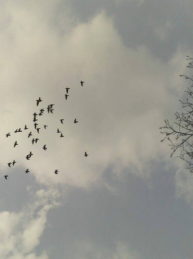 10250222_645000442246615_7528050949851265398_n[1]