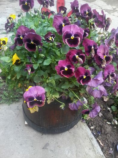 20140423_145531