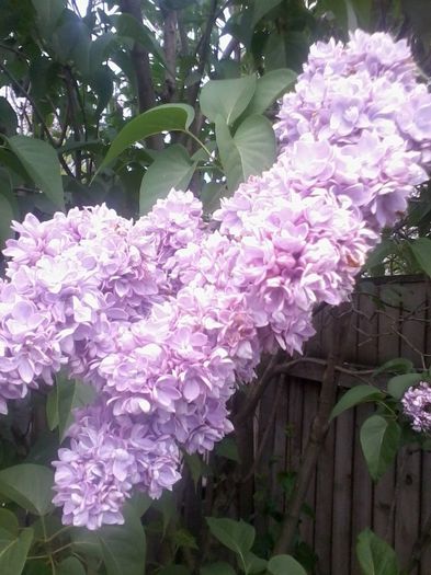 20140423_145647