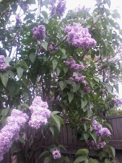 20140423_145659