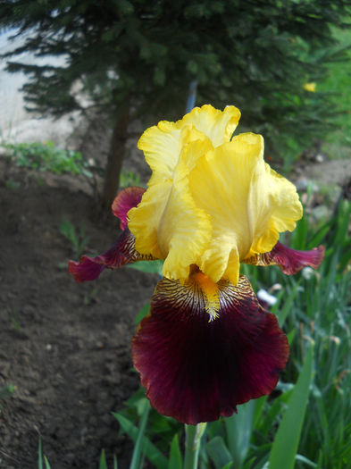 DSCN1314_006