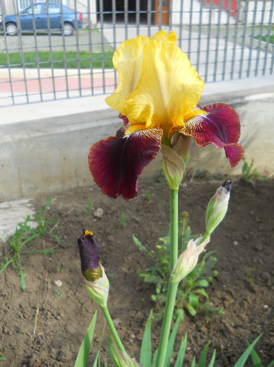 DSCN1315_007