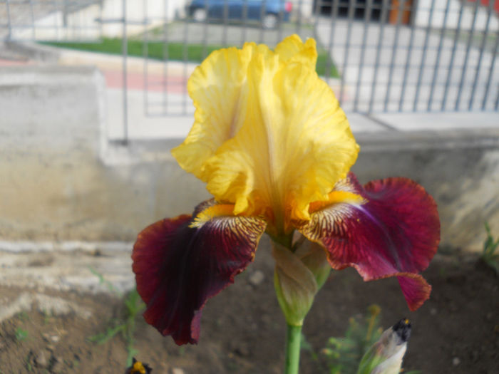 DSCN1316_008