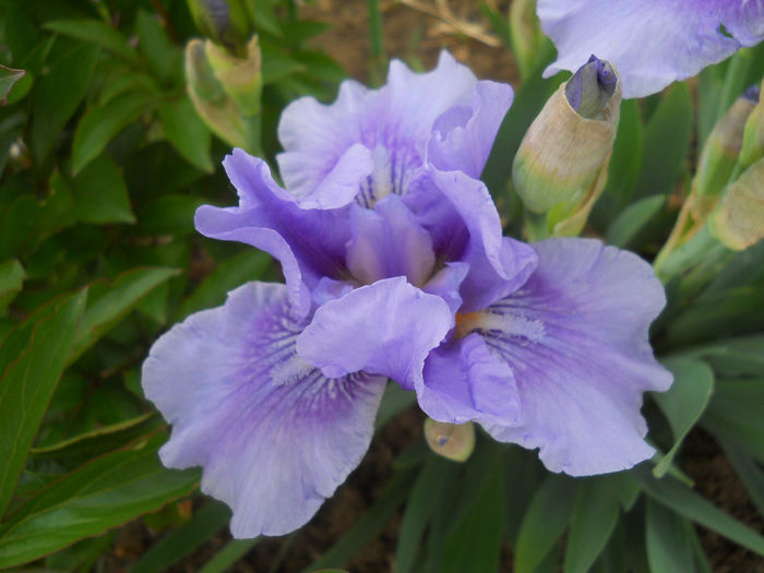 DSCN1328_020