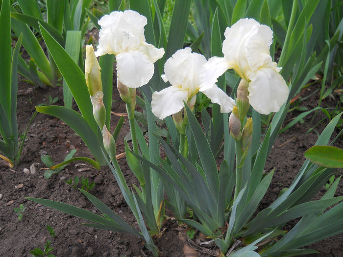 DSCN1330_022