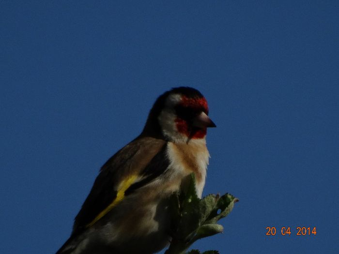 DSC02321