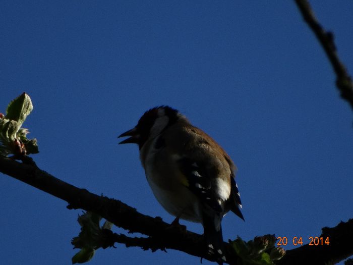 DSC02325