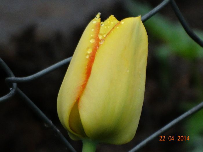 DSC02500