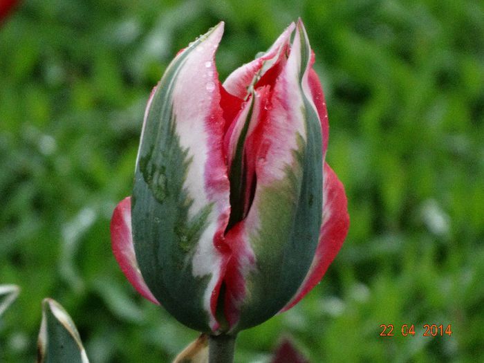 DSC02495