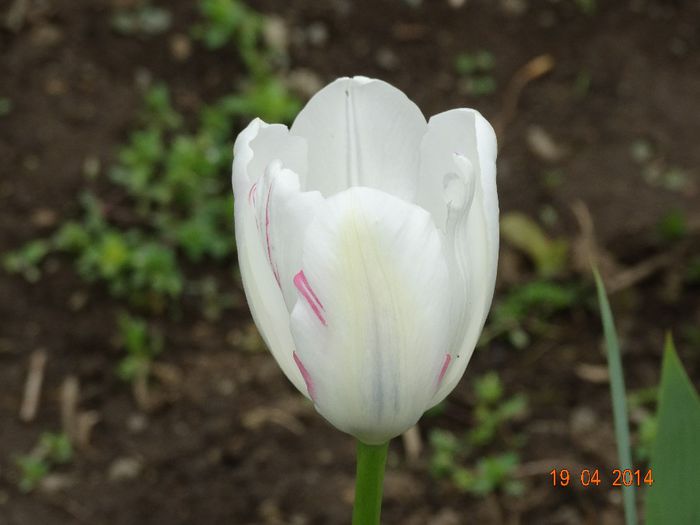 DSC02186