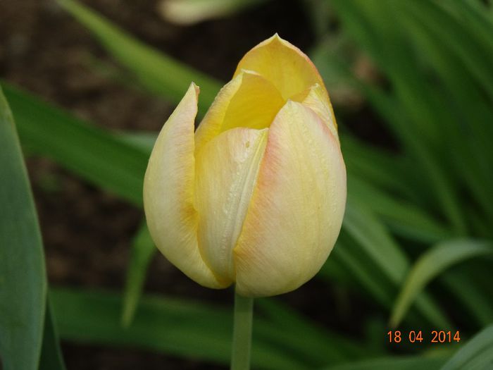 DSC02047