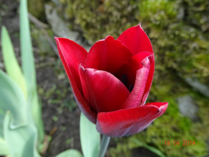 DSC02035