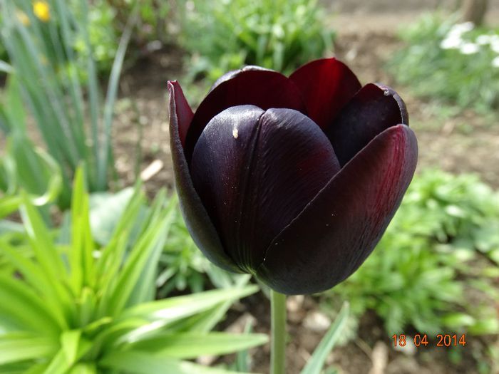 DSC02019