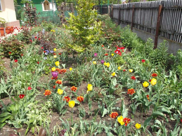 052 - Primavara 2014