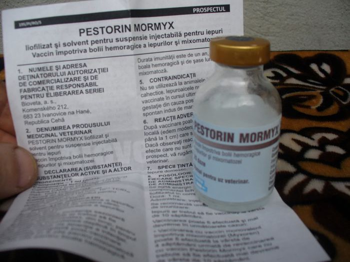 P1110354 - Pestorin Mormyx